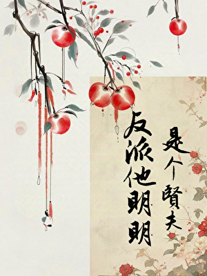 反派他明明是个贤夫（女尊）