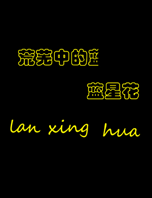 荒芜中的蓝星花