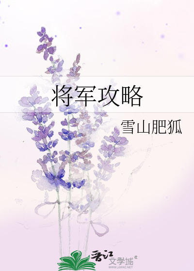 将军攻略