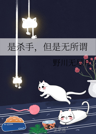 是杀手，但是无所谓
