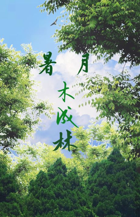 暑月木成林